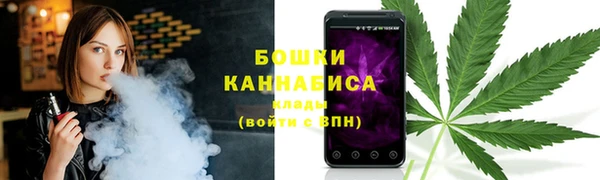 прущие грибы Володарск