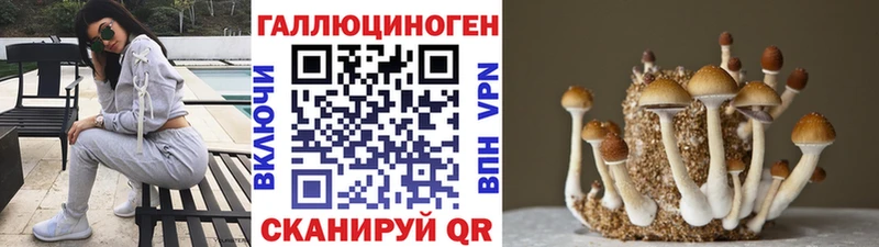 Галлюциногенные грибы Psilocybine cubensis  Купить закладки  Андреаполь 