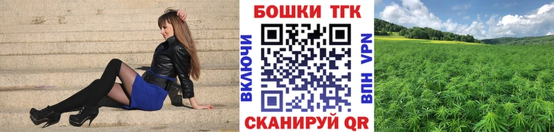 Купить  Андреаполь  Шишки марихуана ГИДРОПОН 